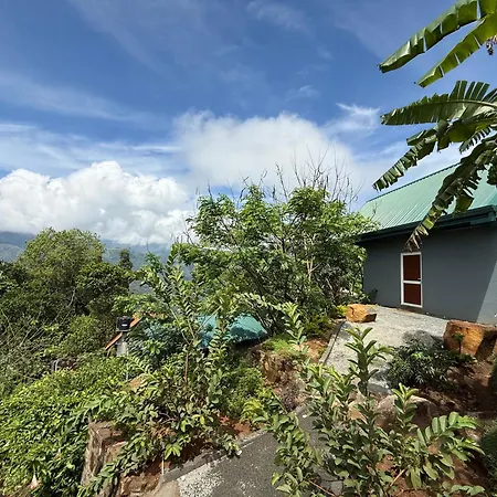 Dolape Villa-2